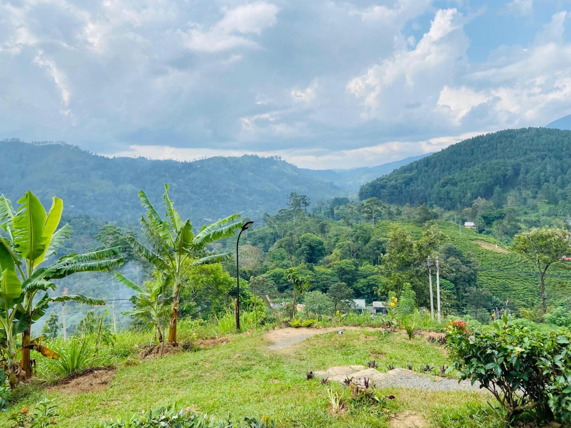Idyll Cottage Ella Ngoại thất bức ảnh